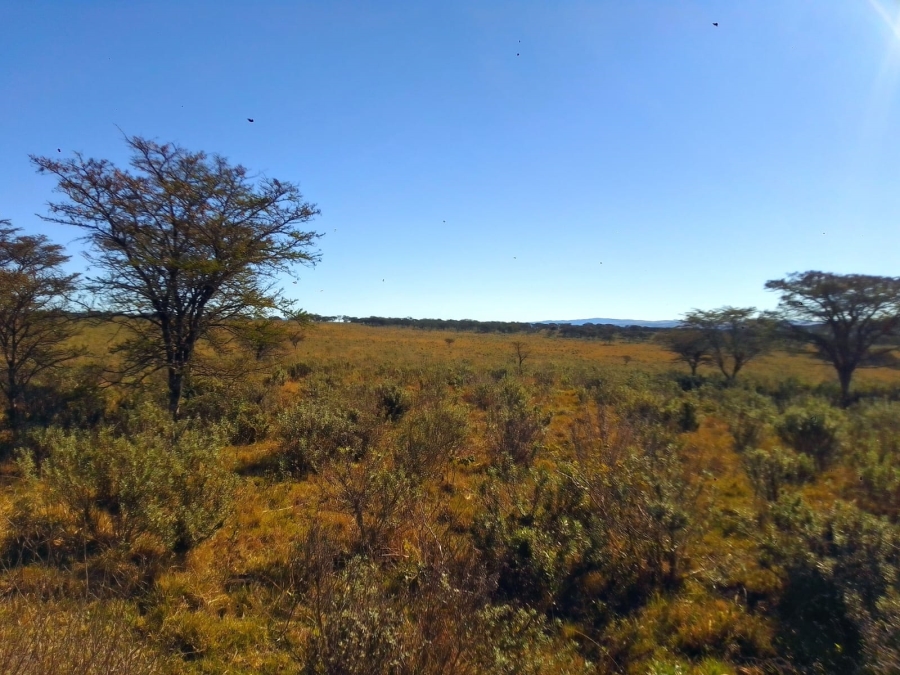 0 Bedroom Property for Sale in Stutterheim Rural Eastern Cape